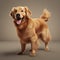 Golden Beauty Unleashed: A Perfectly Groomed Golden Retriever Portrait