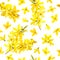 Golden Bell seamless pattern Forsythia suspensa, Easter tree, spring branch with blossoming yellow flowers. Vector