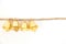 Golden bells on a brown rope with a white background, It is designed decoration for Christmas