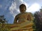 Golden big Buddha statue (Phra Buddha Dhammakaya Thep Mongkol) in Wat Pak Nam Phasi Charoen temple.