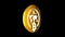 Golden Bitcoin animation - cryptography digital currency coin