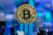 Golden Bitcoin coin on a blurred background of microchips in blue light