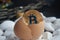 Golden bitcoin coin in broken eggshell