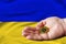 Golden bitcoin coin in man`s hand, Ukrainian flag in the background
