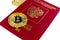 Golden bitcoin coin and passport of Russian Federation