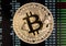 Golden bitcoin cryptocurrency coin on a circuit board background