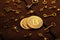 Golden BitCoin Currency Coin with Treasure Keys