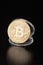 Golden bitcoin in transparent coin container on black