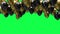 Golden and black balloons on the ceiling on a green screen background