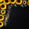 Golden Blooms and Seeds: Sunflowers on a Mystique Dark Background