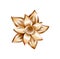 Golden blossom of lotus, metallic shiny object