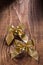 Golden bows with small bells on old wooden board