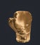 Golden boxing glove on the dark background