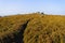 Through golden bracken to a gritstone outcrop on the edge of Surprise View