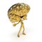 Golden brain