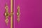 Golden brass locks with key on a purple cabinet