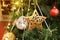 Golden brass metal stars and red ball hanging on the branch of a Christmas tree,