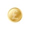 Golden British pounds coin. Realistic lifelike gold pound coin.