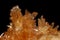 Golden Brown Calcite Crystals on matrix