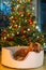 A golden brown labradoodle dog in front of a Christmas tree with decorations