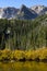 Golden Brush Along Fern Lake Vertical