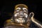 Golden Buddha in cloister of Thien Mu Pagoda, Hue City, Vietnam