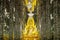 Golden Buddha and Glass column, Wat Tha Sung