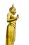 Golden Buddha image status isolated