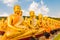 Golden Buddha\'s disciples at Buddha Memorial park