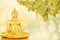 Golden Buddha sitting in meditation dark background