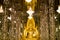 Golden Buddha statue at Cathedral glass