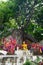 Golden Buddha statue at mountain khao tabaek