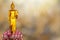 Golden Buddha statue on pink lotus on blurred golden bokeh back