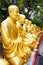 Golden Buddha statues along the stairs leading to the Ten Thousand Buddhas Monastery on nature background