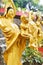 Golden Buddha statues along the stairs leading to the Ten Thousand Buddhas Monastery in Shatin, Hong Kong