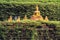 Golden Buddha statues with a wall covered by moss