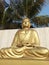 Golden Buddha wth typical posture of meditation under a tree.