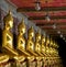 Golden buddhas in wat sutat, bangkok