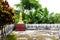 golden buddhist stupa with lush tropical vegetation and an old balcony with nice pattern around it