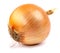 The golden bulb of the ripe onion is isolated on a white background