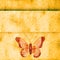 Golden butterfly on grunge background