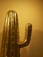 golden cactus statue shot by closeup angle