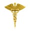 Golden Caduceus Medical Symbol