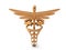 Golden caduceus sign