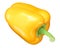 Golden California wonder bell pepper, top