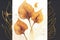Golden calla flowers on white and black background, watercolor drawing. Generative AI