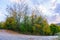 Golden Canopy: Curving Country Gravel Road in Autumn Splendor