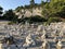 Golden Cape Forest Park Zlatni rt, Rovinj Rovigno - Istria, Croatia / Park Å¡uma Zlatni rt Punta corrente, Rovinj - Istra