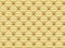 Golden Capitone texture pattern design