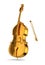 Golden cello on white